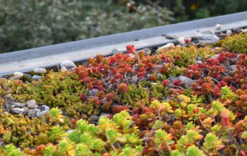 the cost of Moulton Seas End green roof installation