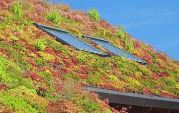 Moulton Seas End living roof systems
