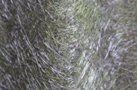 Moulton Seas End fibreglass roof work